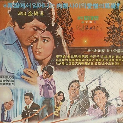 혈육애