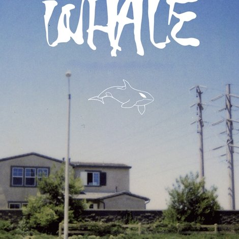 Whale