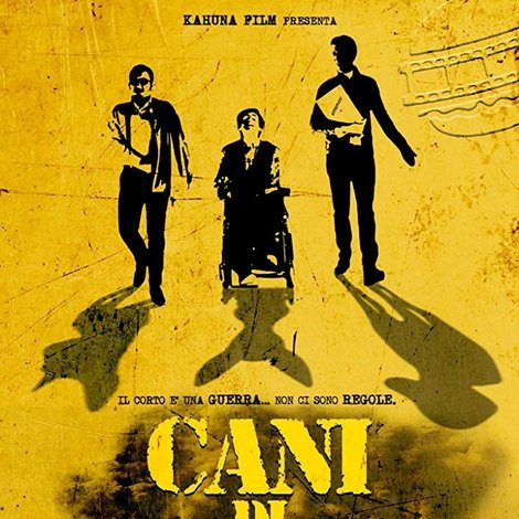 Cani di razza