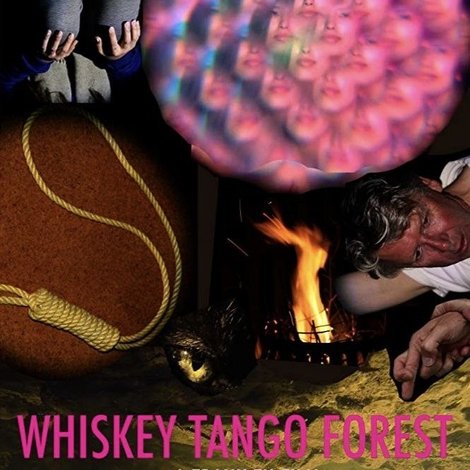 Whiskey Tango Forest