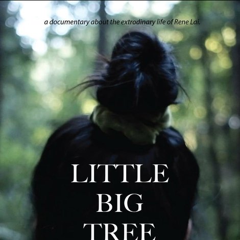 Little Big Tree