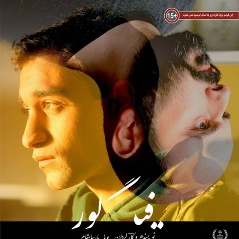 فیگور