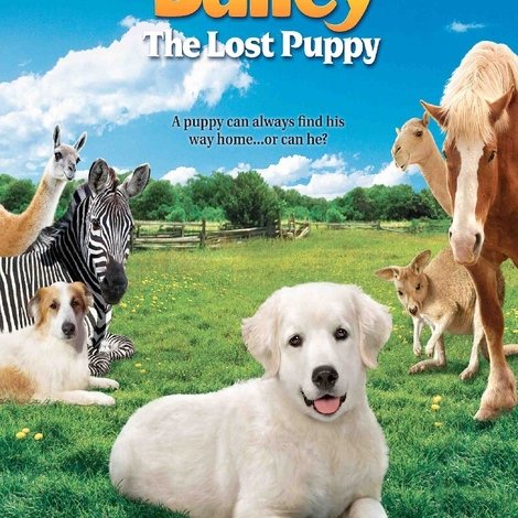 Adventures of Bailey: The Lost Puppy