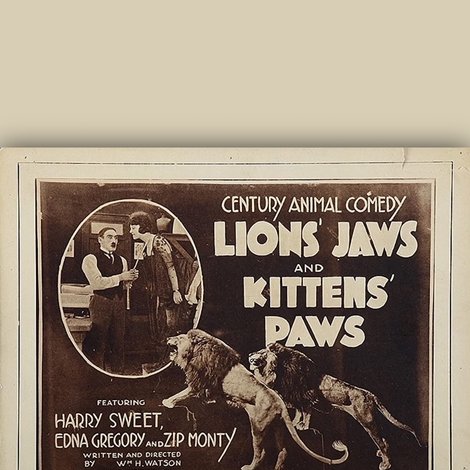Lion's Jaws and Kitten's Paws