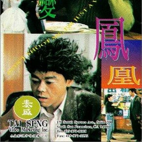 山雞變鳳凰