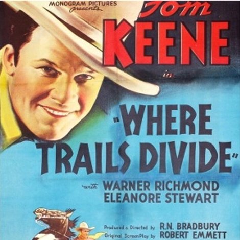 Where Trails Divide