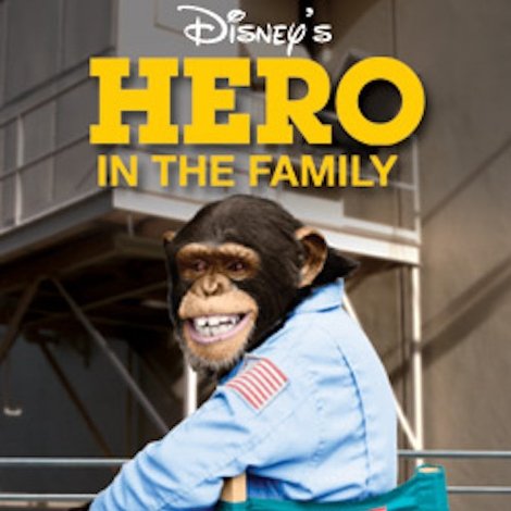 Hero in the Family