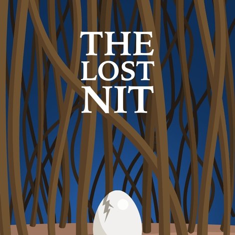 The Lost Nit