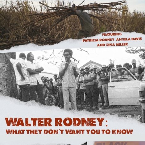 Walter Rodney: What They Don’t Want You to Know