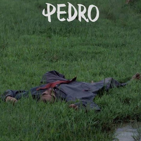 Pedro
