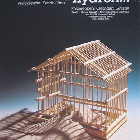 Az utolsó nyáron