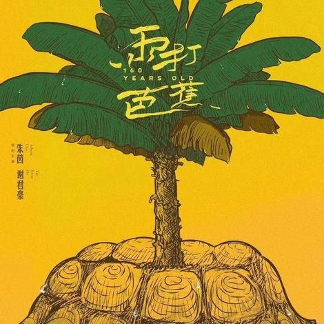雨打芭蕉