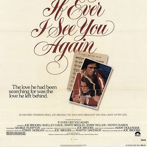 If Ever I See You Again