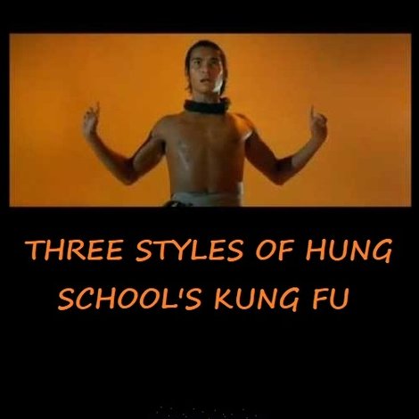 Three Styles of Hung School's Kung Fu