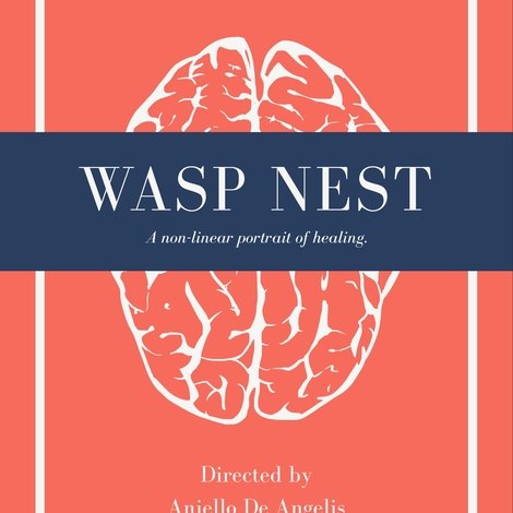 Wasp Nest