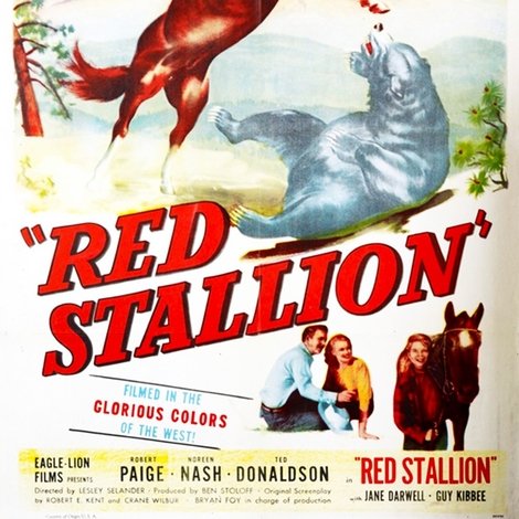 The Red Stallion