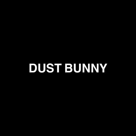 Dust Bunny