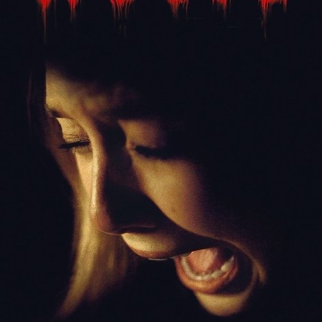 Silent House