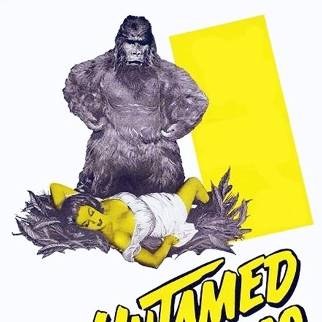 Untamed Mistress