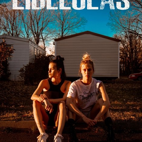 Libélulas