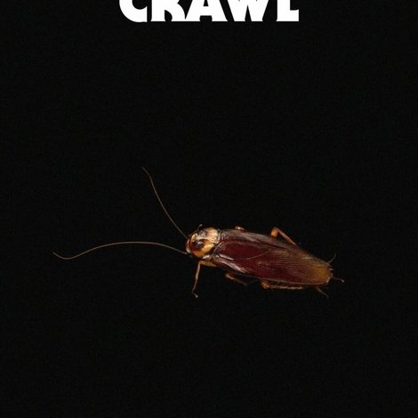 They Crawl