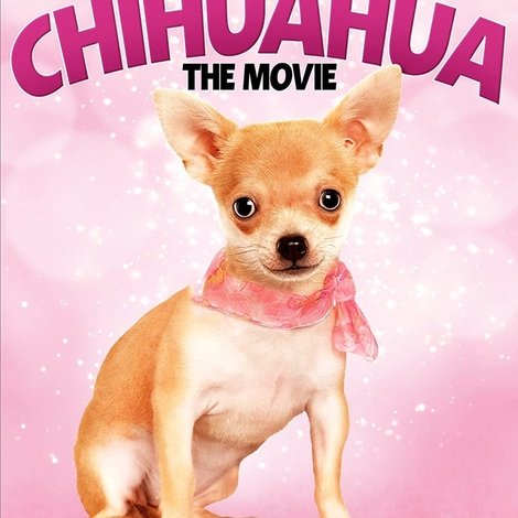 Chihuahua: The Movie
