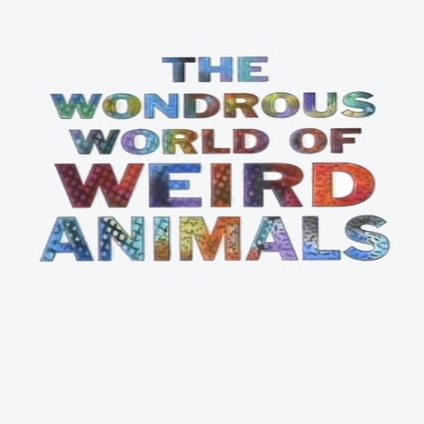 The Wondrous World of Weird Animals