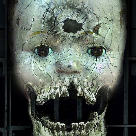 The Amityville Asylum