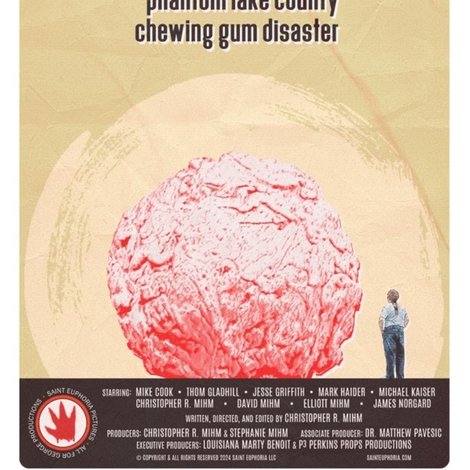 The Wad: The True Story Behind The Phantom Lake County Chewing Gum Disaster