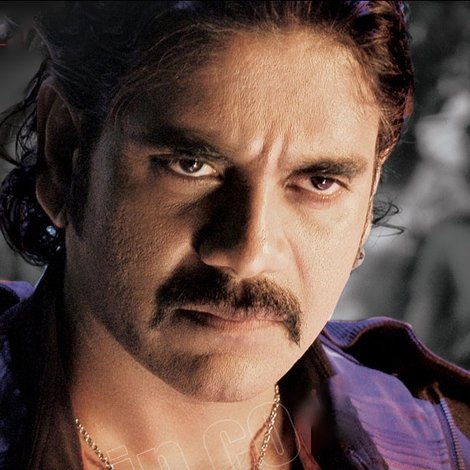 డాన్