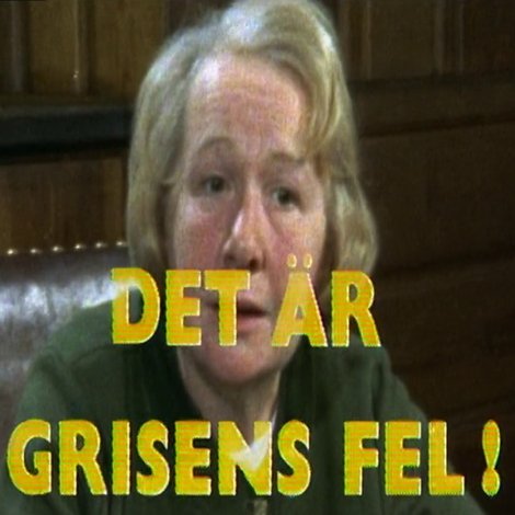 Det är grisens fel!