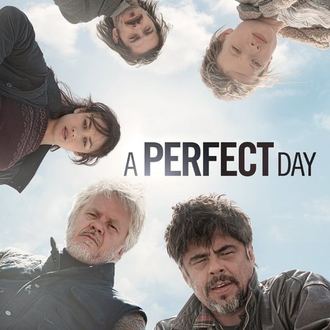 A Perfect Day
