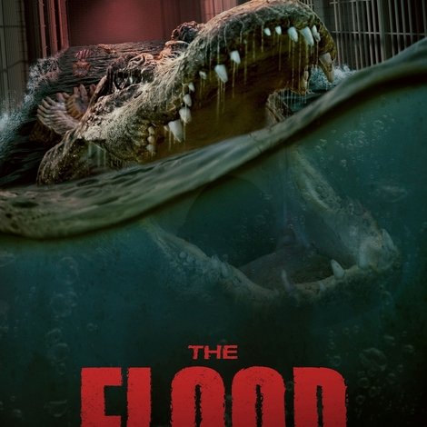 The Flood