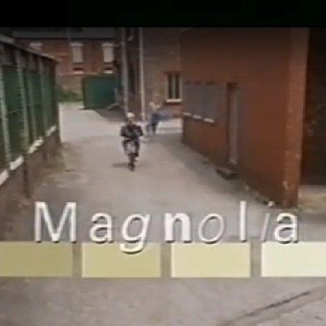 Magnolia