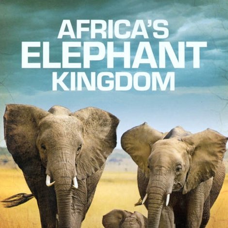 Africa's Elephant Kingdom