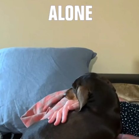 Alone