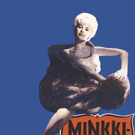 Minkkiturkki