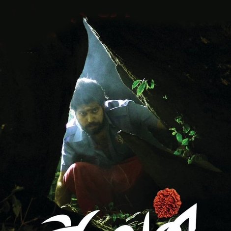 அகவன்
