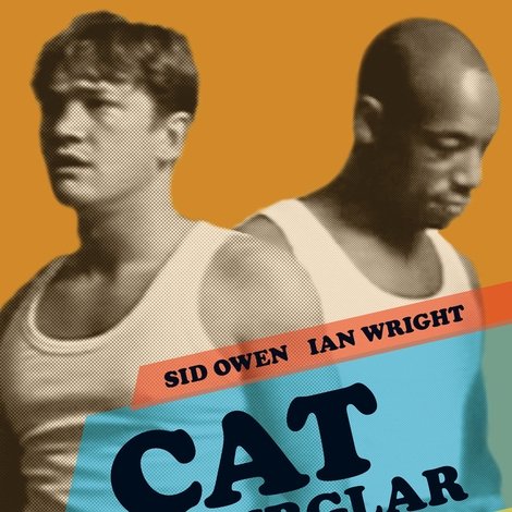 Cat Burglar