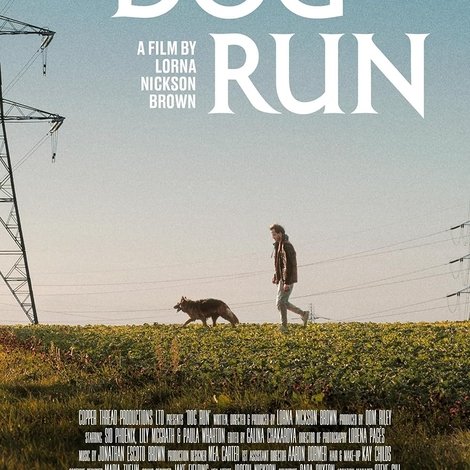 Dog Run