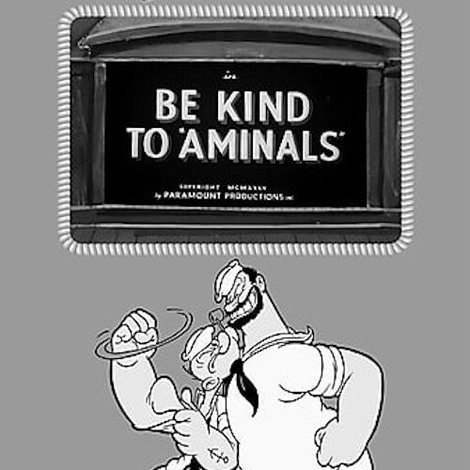 Be Kind to 'Aminals'