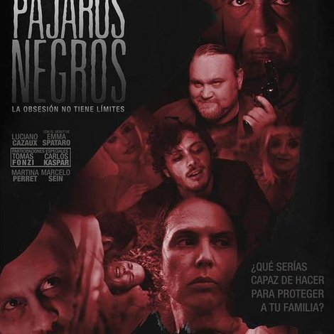 Pájaros negros