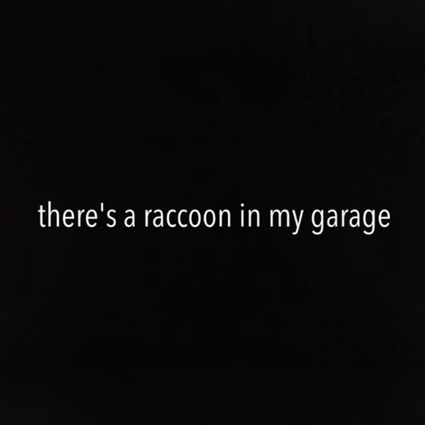 There's a Raccoon in My Garage