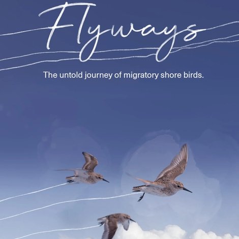 Flyways