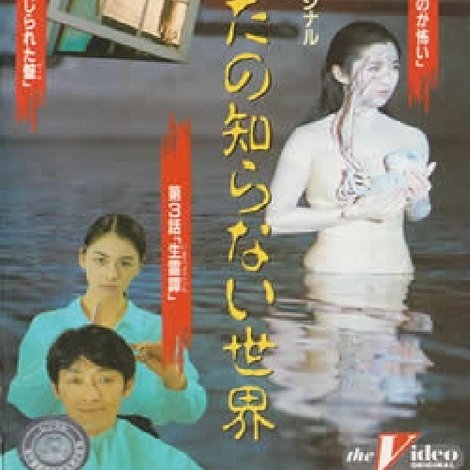 あなたの知らない世界 II