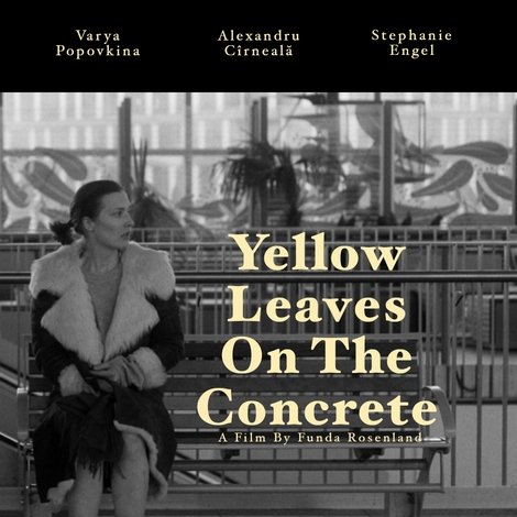 Yellow leaves on the concrete