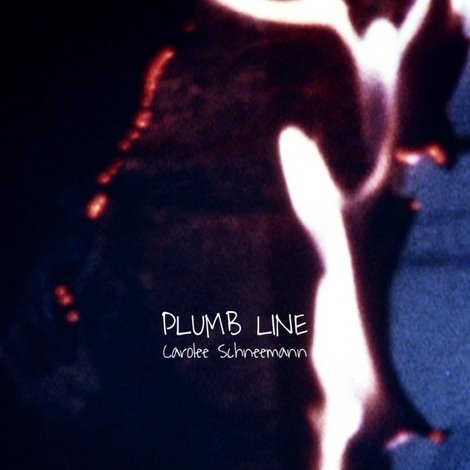 Plumb Line