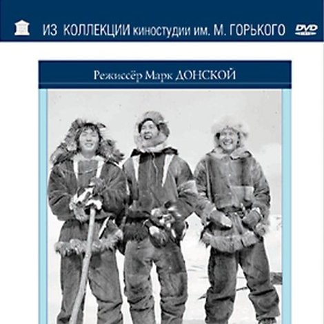 Романтики