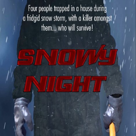 Snowy Night