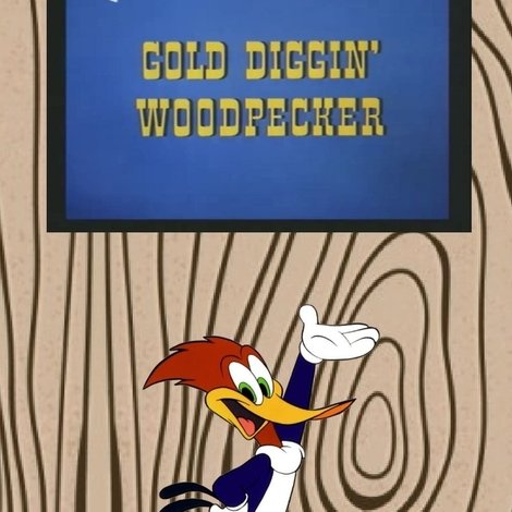 Gold Diggin' Woodpecker
